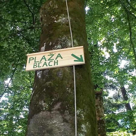 Kamp Alpe Kamniska Bistrica キャンプ場