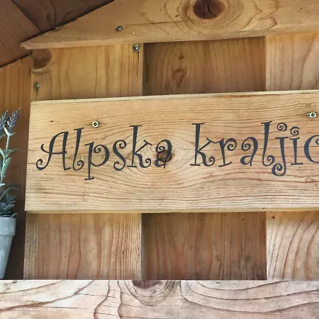 Kamp Alpe Kamniska Bistrica 2* オスレンドネスロヴェンスカ