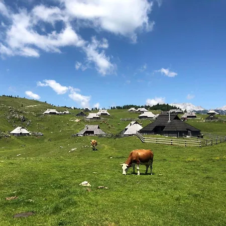 Kamp Alpe Kamniska Bistrica キャンプ場