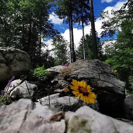 Kamp Alpe Kamniska Bistrica オスレンドネスロヴェンスカ